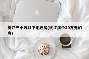 桃江三十万以下毛坯房(桃江房价20万元的房)