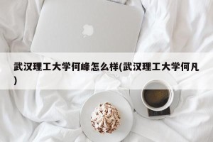 武汉理工大学何峰怎么样(武汉理工大学何凡)